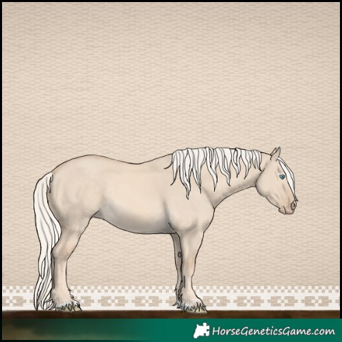 Horse Color:Cremello Dun 