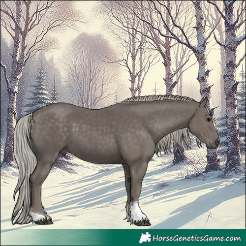 Horse Color:Silver Black Tobiano