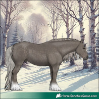 Horse Color:Silver Black Tobiano