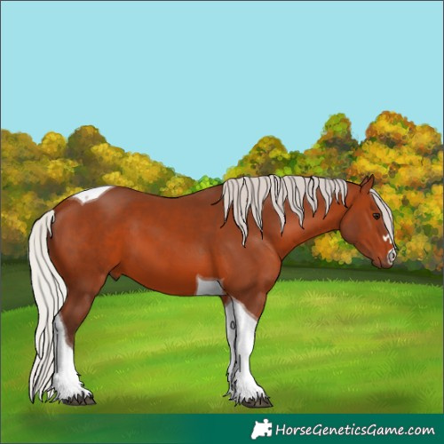 Horse Color:Silver Brown Tobiano 
