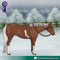 Horse Color:Silver Black Tobiano