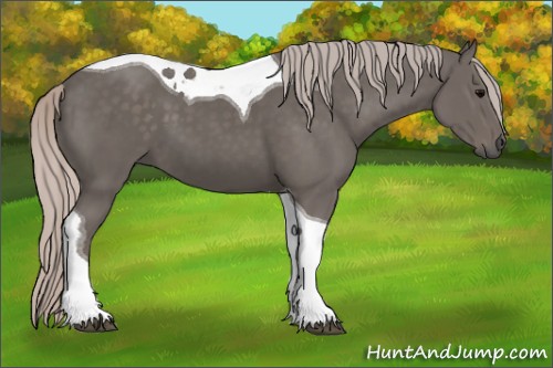 Horse Color:Silver Black Tobiano 
