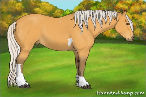 Horse Color:Silver Buckskin Tobiano 