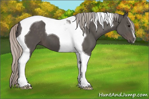 Horse Color:Silver Black Tobiano 
