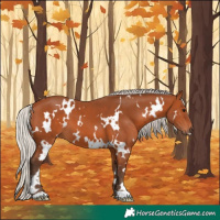 Horse Color:White Spotted Silver Bay 