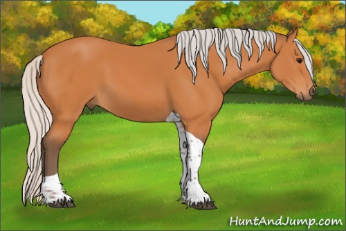 Horse Color:Silver Bay Tobiano 