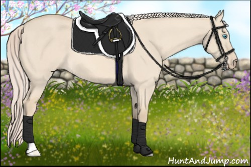 Horse Color:Cremello Dun 