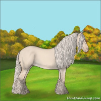 Horse Color:Cremello Dun 