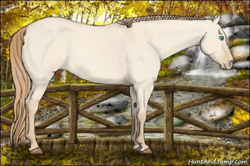 Horse Color:Perlino Dun 