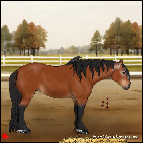 Horse Color:Gray Bay 