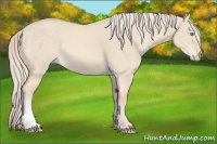 Horse Color:Cremello Dun 