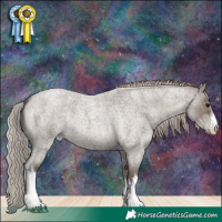 Horse Color:White Spotted Silver Grullo Roan 
