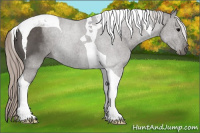 Horse Color:Silver Black Tobiano