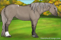 Horse Color:Silver Grullo Tobiano 