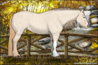 Horse Color:Perlino Roan Dun 