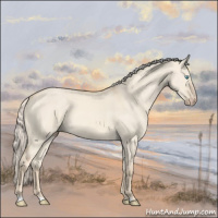 Horse Color:Cremello Dun 