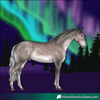 Horse Color:Platinum White Spotted Chocolate Palomino 