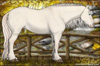 Horse Color:Cremello Dun 