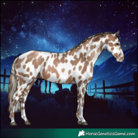 Horse Color:Black Pearl Tobiano Leopard 