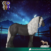 Horse Color:Liver Chestnut Mushroom 