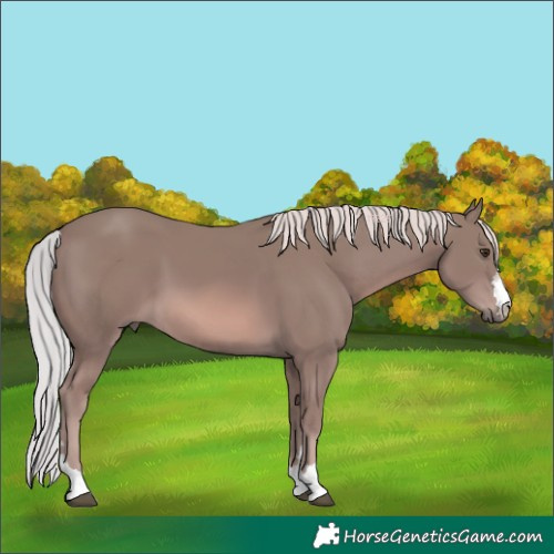 Horse Color:Platinum Chestnut 