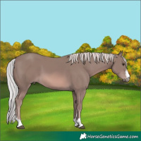 Horse Color:Platinum Chestnut 