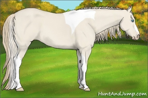 Horse Color:Smoky Creme Dun Tobiano