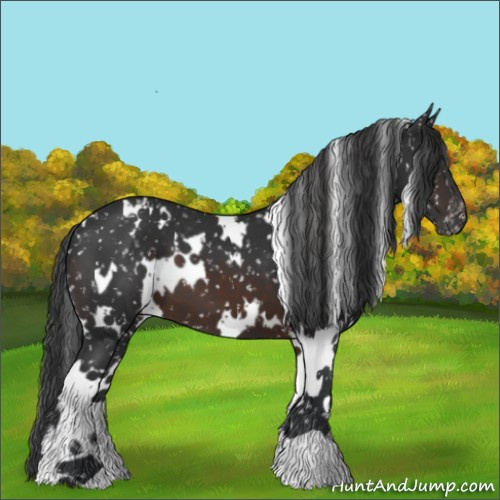 Horse Color:White Spotted Brown Snowflake Varnish