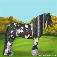 Horse Color:White Spotted Brown Snowflake Varnish 