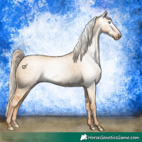 Horse Color:Gray Cremello Dun 