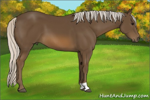 Horse Color:Silver Smoky Black 