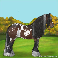 Horse Color:White Spotted Brown Varnish