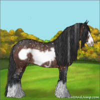 Horse Color:Brown Frame Snowflake Varnish Rabicano