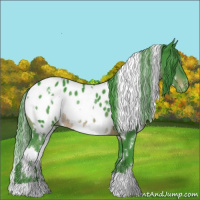 Horse Color:Watercolor White Spotted Brown Appaloosa 