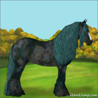 Horse Color:Watercolor Midnight Brown Ice