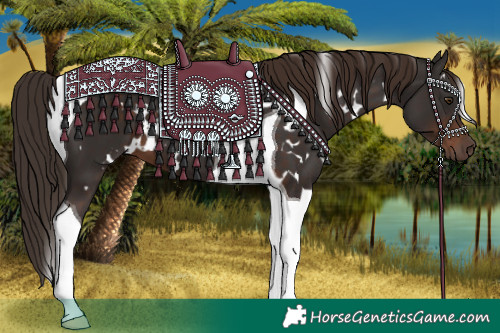 Horse Color:White Spotted Liver Chestnut Tobiano 