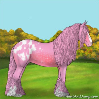 Horse Color:Watercolor Brown Sabino Appaloosa 
