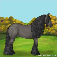 Horse Color:Grullo Sabino Rabicano 