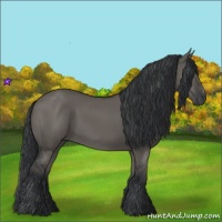 Horse Color:Grullo Sabino Rabicano 