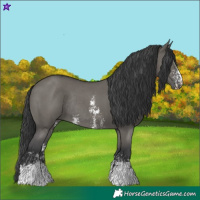 Horse Color:Grullo Sabino Rabicano