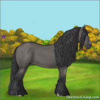 Horse Color:Grullo Sabino Rabicano 