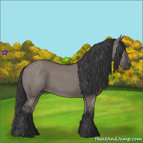 Horse Color:Grullo Sabino Rabicano 