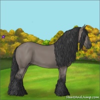 Horse Color:Grullo Sabino Rabicano 