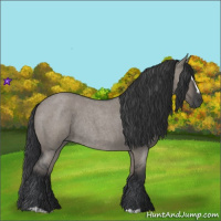 Horse Color:Grullo Roan Sabino Rabicano 