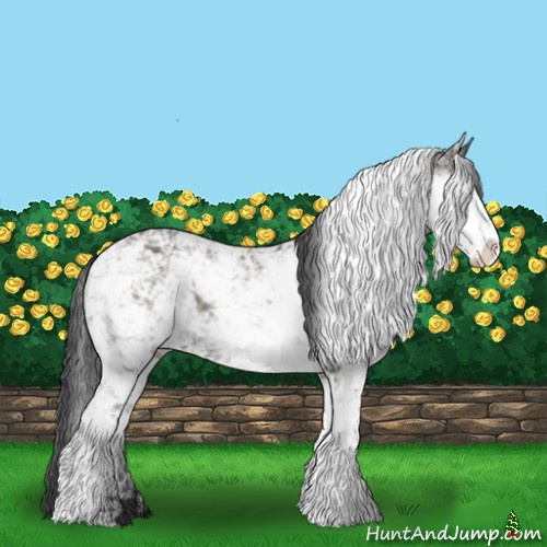 Horse Color:Grullo Sabino Rabicano