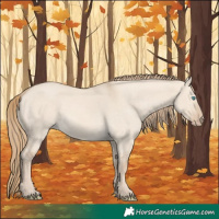 Horse Color:Perlino Dun 