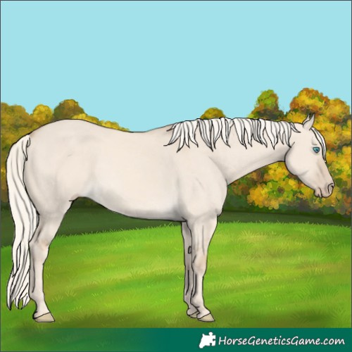 Horse Color:Cremello Dun 