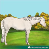 Horse Color:Cremello Dun 