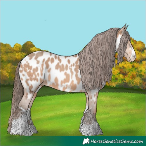 Horse Color:Sable Champagne Near Leopard and Amber Champagne Near Leopard