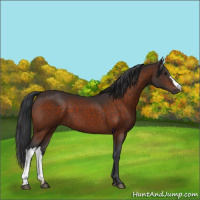 Horse Color:Brown 